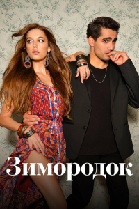 Зимородок 1 серия